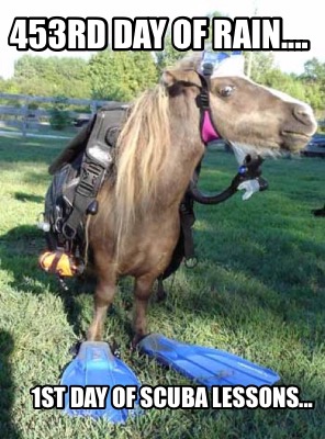 453rd-day-of-rain....-1st-day-of-scuba-lessons