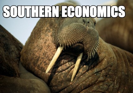 southern-economics