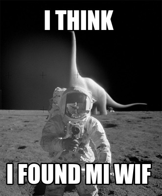 i-think-i-found-mi-wif