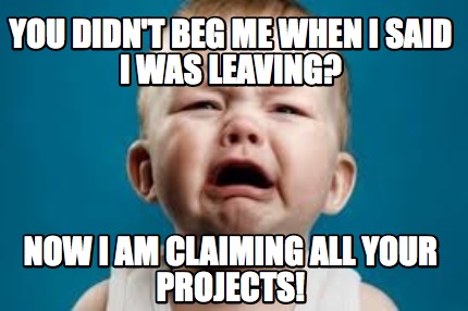 you-didnt-beg-me-when-i-said-i-was-leaving-now-i-am-claiming-all-your-projects