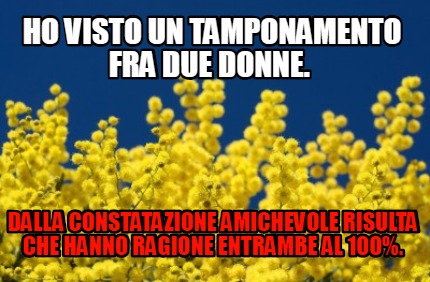 ho-visto-un-tamponamento-fra-due-donne.-dalla-constatazione-amichevole-risulta-c