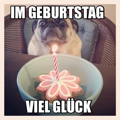 Meme Creator - Funny Im Geburtstag Viel glück Meme Generator at MemeCreator.org!
