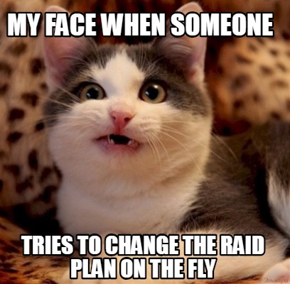 my-face-when-someone-tries-to-change-the-raid-plan-on-the-fly