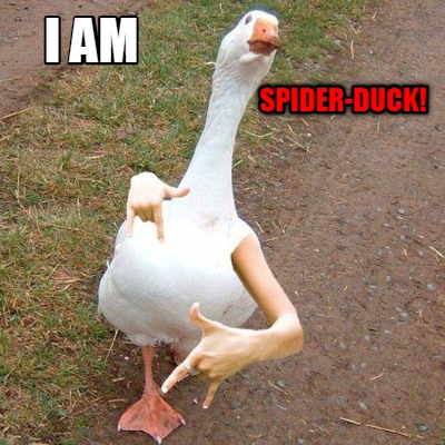 i-am-spider-duck