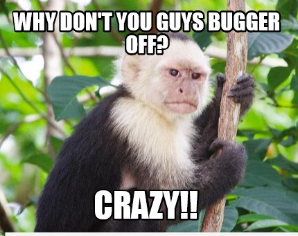 why-dont-you-guys-bugger-off-crazy