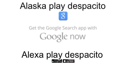 Meme Creator Funny Alaska Play Despacito Alexa Play Despacito