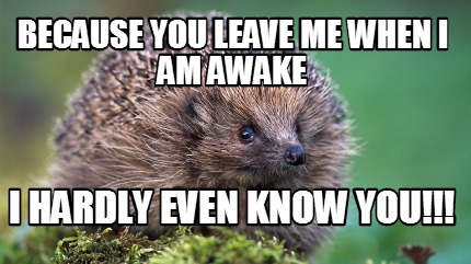 because-you-leave-me-when-i-am-awake-i-hardly-even-know-you
