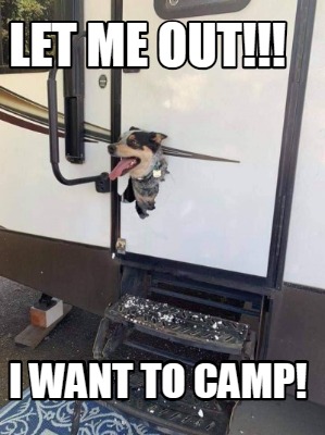 Meme Creator Funny Let Me Out I Want To Camp Meme Generator At Memecreator Org Meme Creator Funny Let Me Out I Want To Camp Meme Generator At Memecreator Org