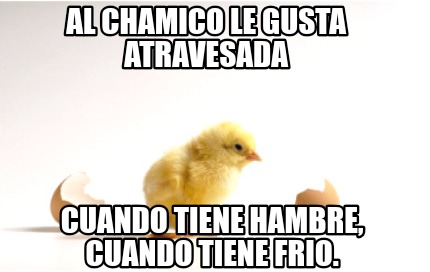 al-chamico-le-gusta-atravesada-cuando-tiene-hambre-cuando-tiene-frio