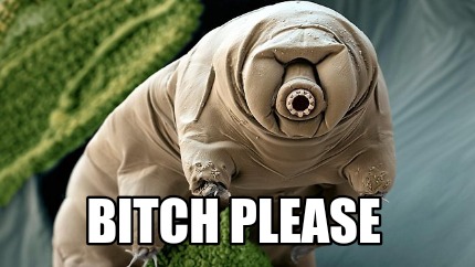 bitch-please656