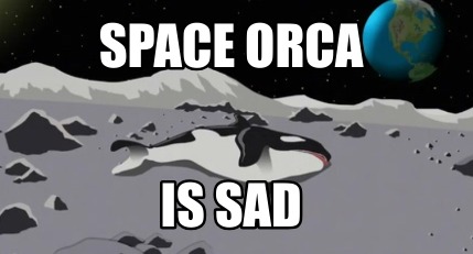 space-orca-is-sad