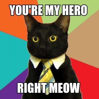 youre-my-hero-right-meow1