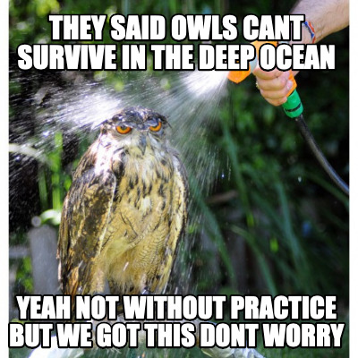 they-said-owls-cant-survive-in-the-deep-ocean-yeah-not-without-practice-but-we-g