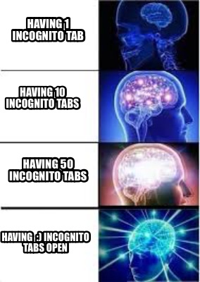 Meme Creator Funny Having 1 Incognito Tab Having 10 Incognito