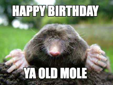 happy-birthday-ya-old-mole