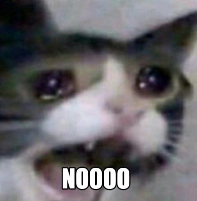 Resultado de imagen de cat crying meme"