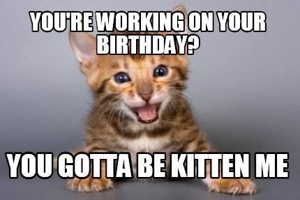 youre-working-on-your-birthday-you-gotta-be-kitten-me