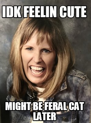 idk-feelin-cute-might-be-feral-cat-later