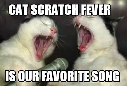 cat-scratch-fever-is-our-favorite-song