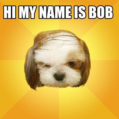 hi-my-name-is-bob3