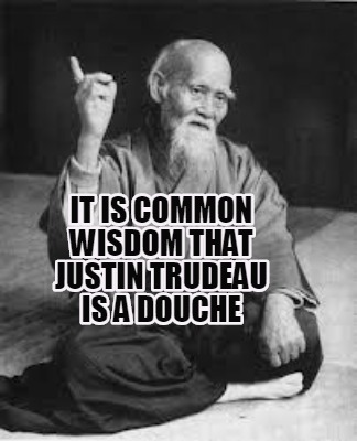 it-is-common-wisdom-that-justin-trudeau-is-a-douche