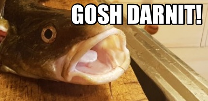 gosh-darnit