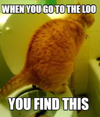 when-you-go-to-the-loo-you-find-this