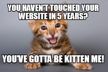 you-havent-touched-your-website-in-5-years-youve-gotta-be-kitten-me