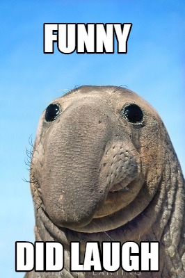 funny-did-laugh