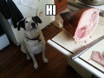 hi2595