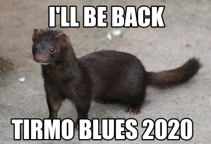 tirmo blues 2020