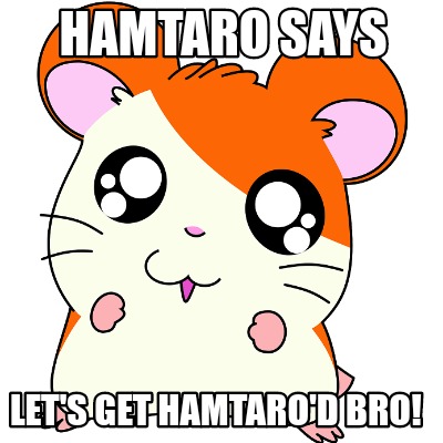 hamtaro-says-lets-get-hamtarod-bro