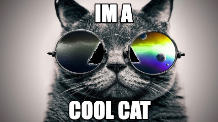 im-a-cool-cat