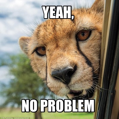 yeah-no-problem5