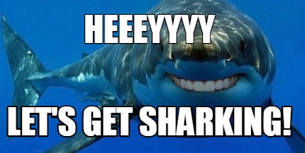 heeeyyyy-lets-get-sharking