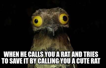 when-he-calls-you-a-rat-and-tries-to-save-it-by-calling-you-a-cute-rat