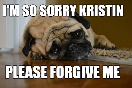 Meme Creator Funny I M So Sorry Kristin Please Forgive Me Meme Generator At Memecreator Org