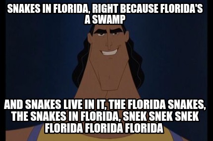 snakes-in-florida-right-because-floridas-a-swamp-and-snakes-live-in-it-the-flori