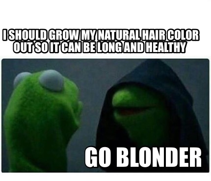 Meme Creator - Funny I should grow my natural hair color out so it can be  long and healthy GO BLONDE Meme Generator at !
