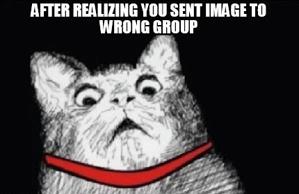 after-realizing-you-sent-image-to-wrong-group