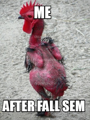 me-after-fall-sem