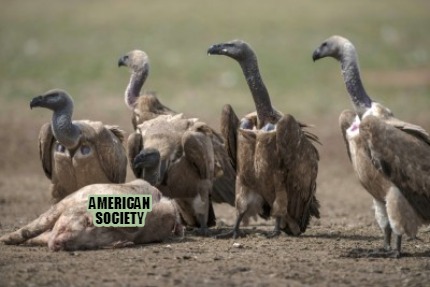 american-society