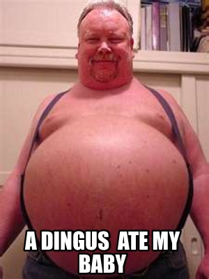 a-dingus-ate-my-baby