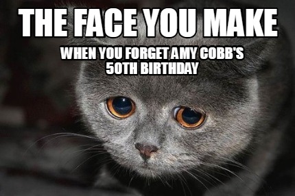 105 Funny Happy Birthday Cat Memes to Make Your Special Day Laughable