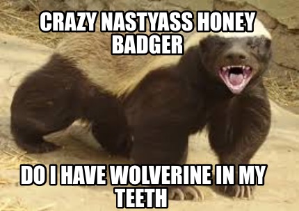 crazy-nastyass-honey-badger-do-i-have-wolverine-in-my-teeth