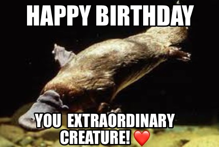 happy-birthday-you-extraordinary-creature-