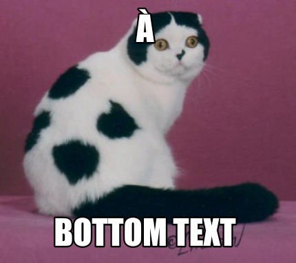 -bottom-text51