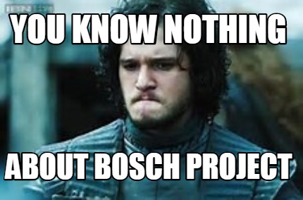 you-know-nothing-about-bosch-project