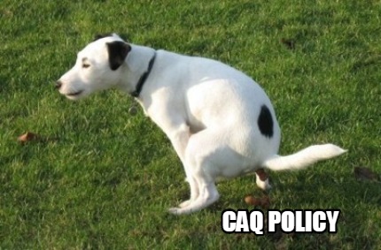 caq-policy