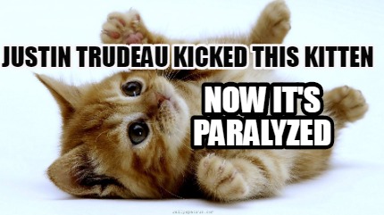 justin-trudeau-kicked-this-kitten-now-its-paralyzed